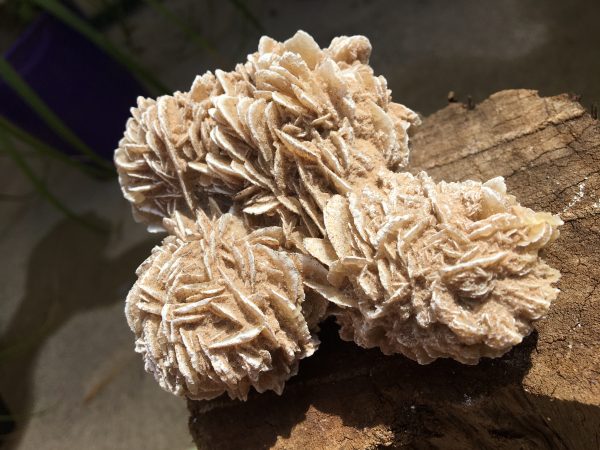 RAW CRYSTALS & MINERALS desert rose selenite