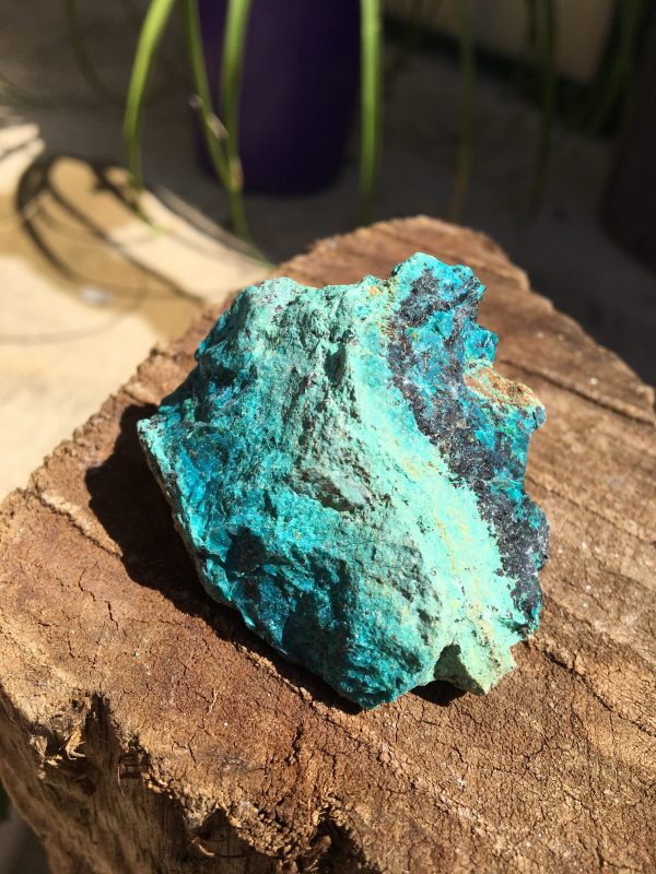 RAW CRYSTALS & SPECIMENS mexican chrysocolla individualy priced
