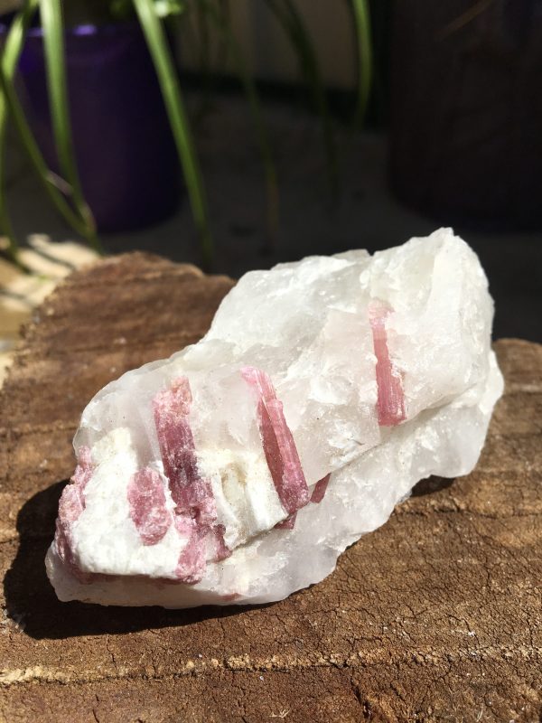 RAW CRYSTALS & SPECIMENS pink tourmline in quartz individualy priced