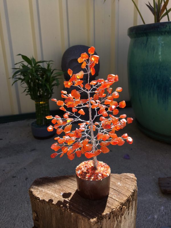 TREES carnelian 20cm 160 beads (each)