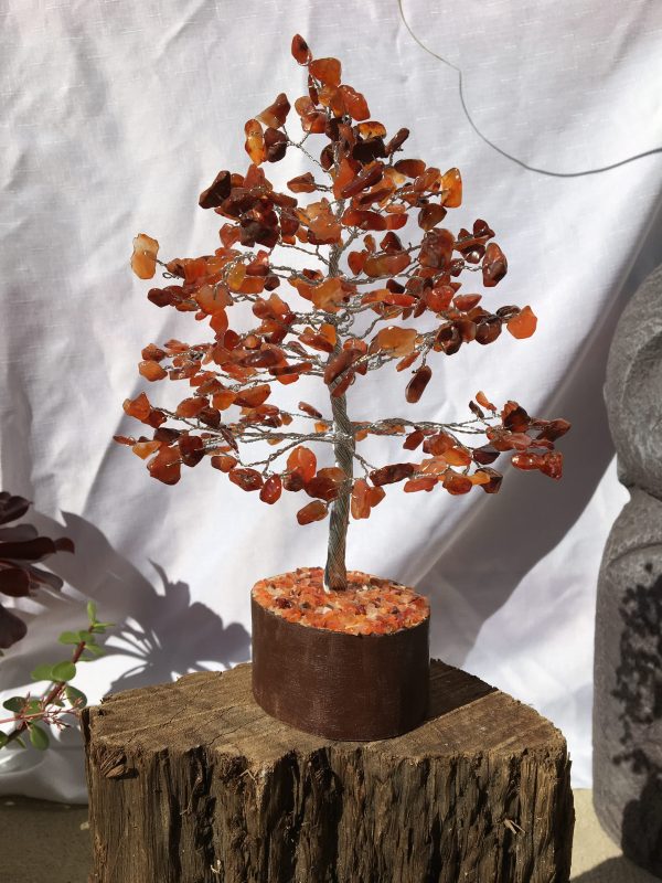 TREES carnelian 22cm 300 beads (each)