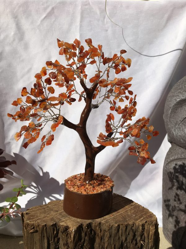 TREES carnelian