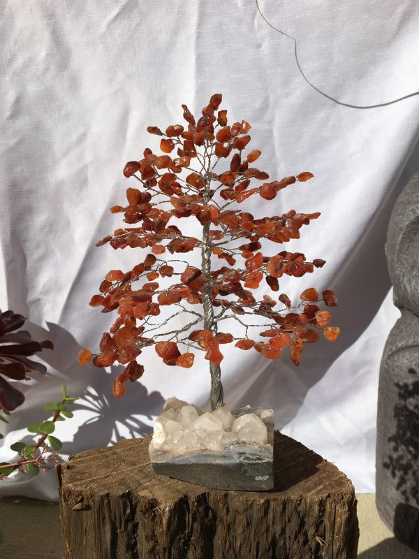 TREES carnelian on cluster base 22cm 300 beads (each)