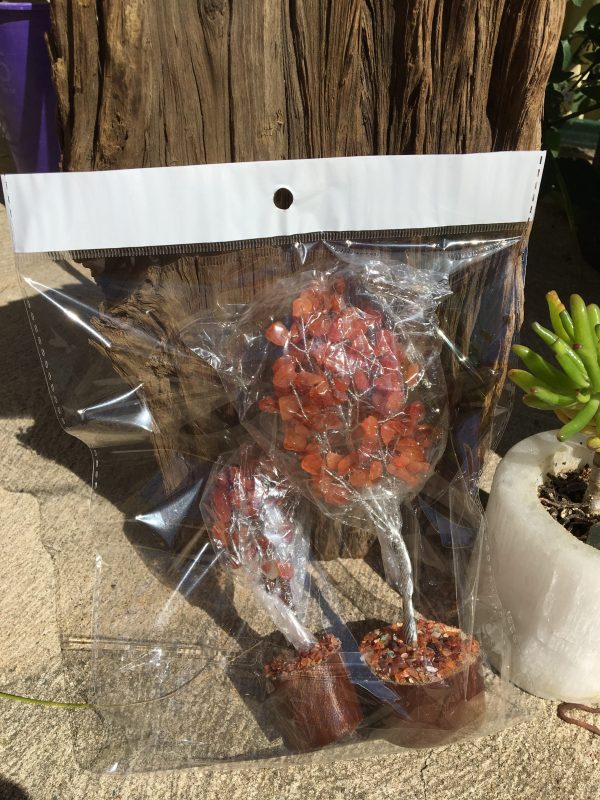 BOXED & BAGGED ITEMS carnelian trees
