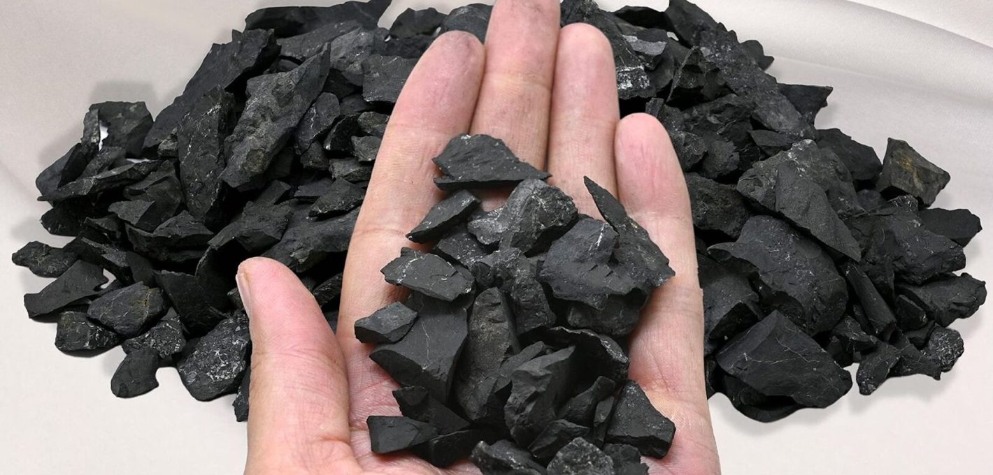 Exploring the Unique Properties of Shungite