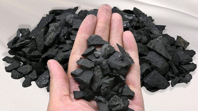 Exploring the Unique Properties of Shungite