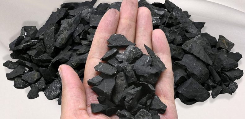 Exploring the Unique Properties of Shungite