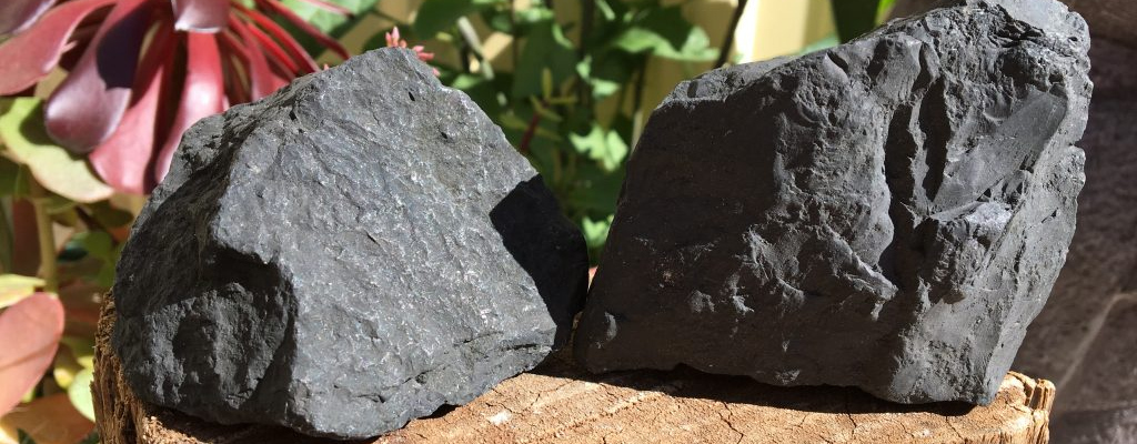 Exploring the Unique Properties of Shungite